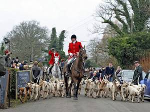 Ready, steady, hunt: the hounds are called in for the Boxing Day meet in Shipley, West Sussex