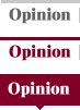 Opinion&nbsp;