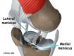 Meniscus of the knee